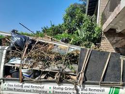 Best Attic Cleanout  in Belvedere, CA